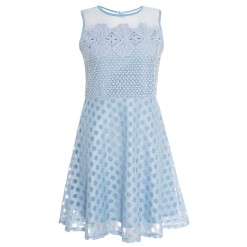 Pale Blue Mesh Skater Dress