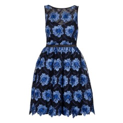 Blue And Black Mesh Floral Skater Dress