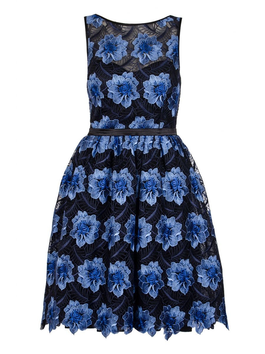 Blue And Black Mesh Floral Skater Dress